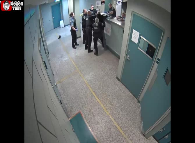 Video :A intoxicated man in handcuffs is punched four times by a police officer